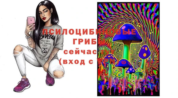 spice Осташков