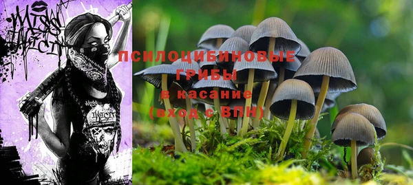 spice Осташков