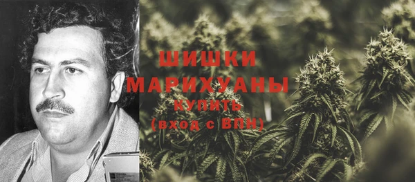 винт Осинники